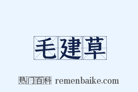 毛建草是什么意思的图片